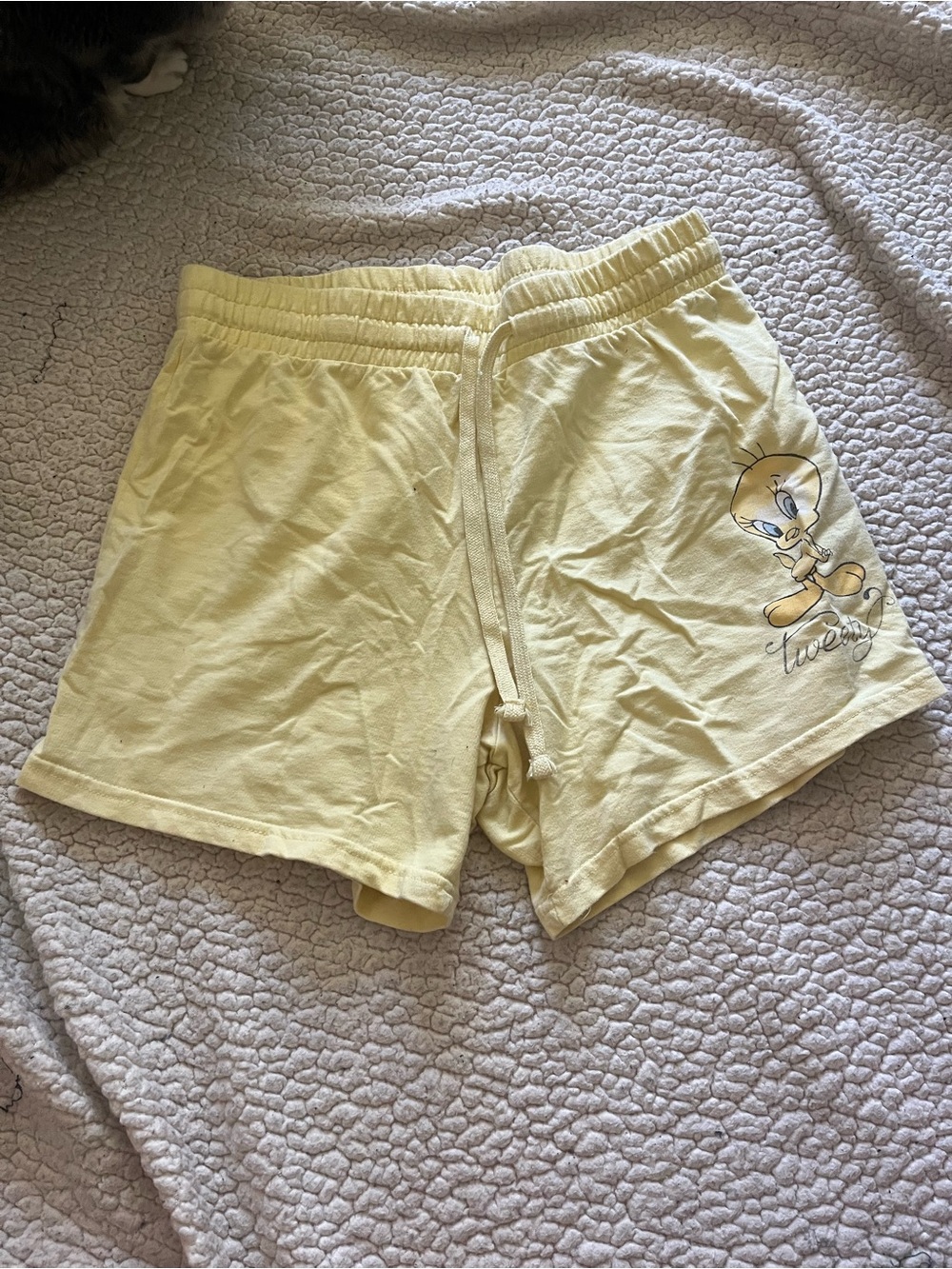 Looney Tunes Shorts